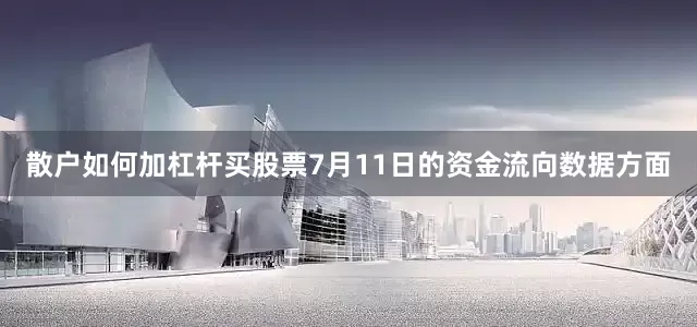 散户如何加杠杆买股票7月11日的资金流向数据方面