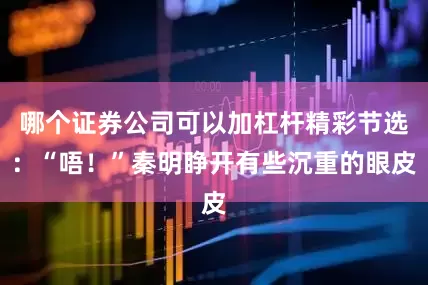 哪个证券公司可以加杠杆精彩节选：“唔！”秦明睁开有些沉重的眼皮