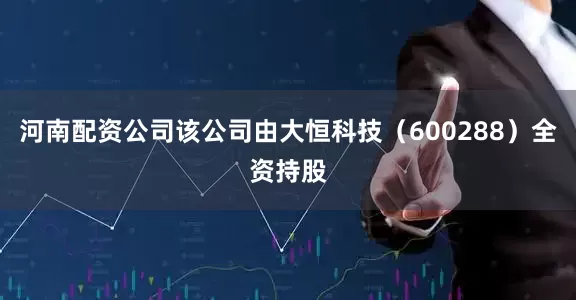 河南配资公司该公司由大恒科技（600288）全资持股